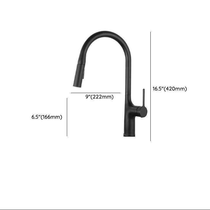 Eldurall | Moderne Gooseneck Silhouet Draaiuitloop Keukenkraan