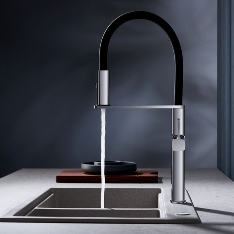 Eldvalla | Moderne Gooseneck Silhouet Draaiuitloop Keukenkraan