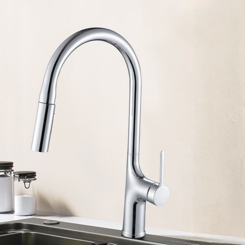 Eldurall | Moderne Gooseneck Silhouet Draaiuitloop Keukenkraan