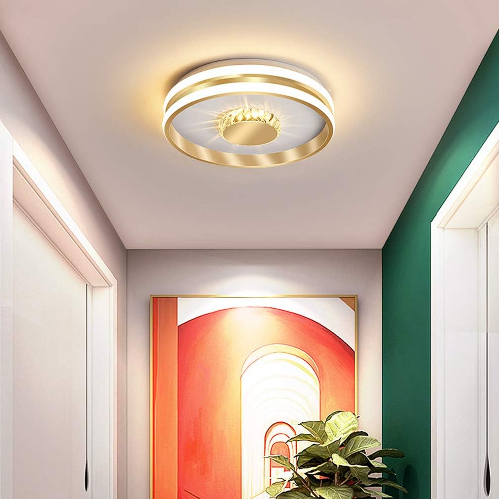 Circa | Moderne Minimalistische Dubbele Ring Plafondlamp