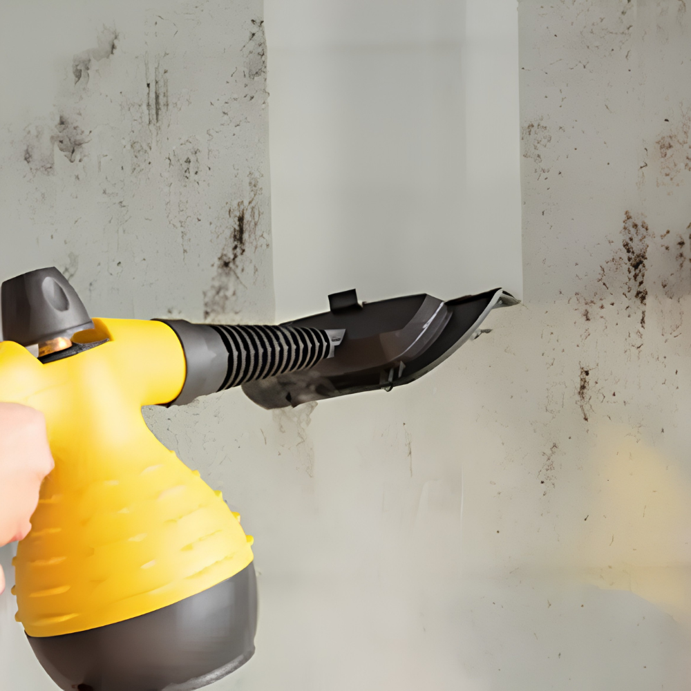 Kestruva | Professionele Ergonomische Multifunctionele Handstoomreiniger