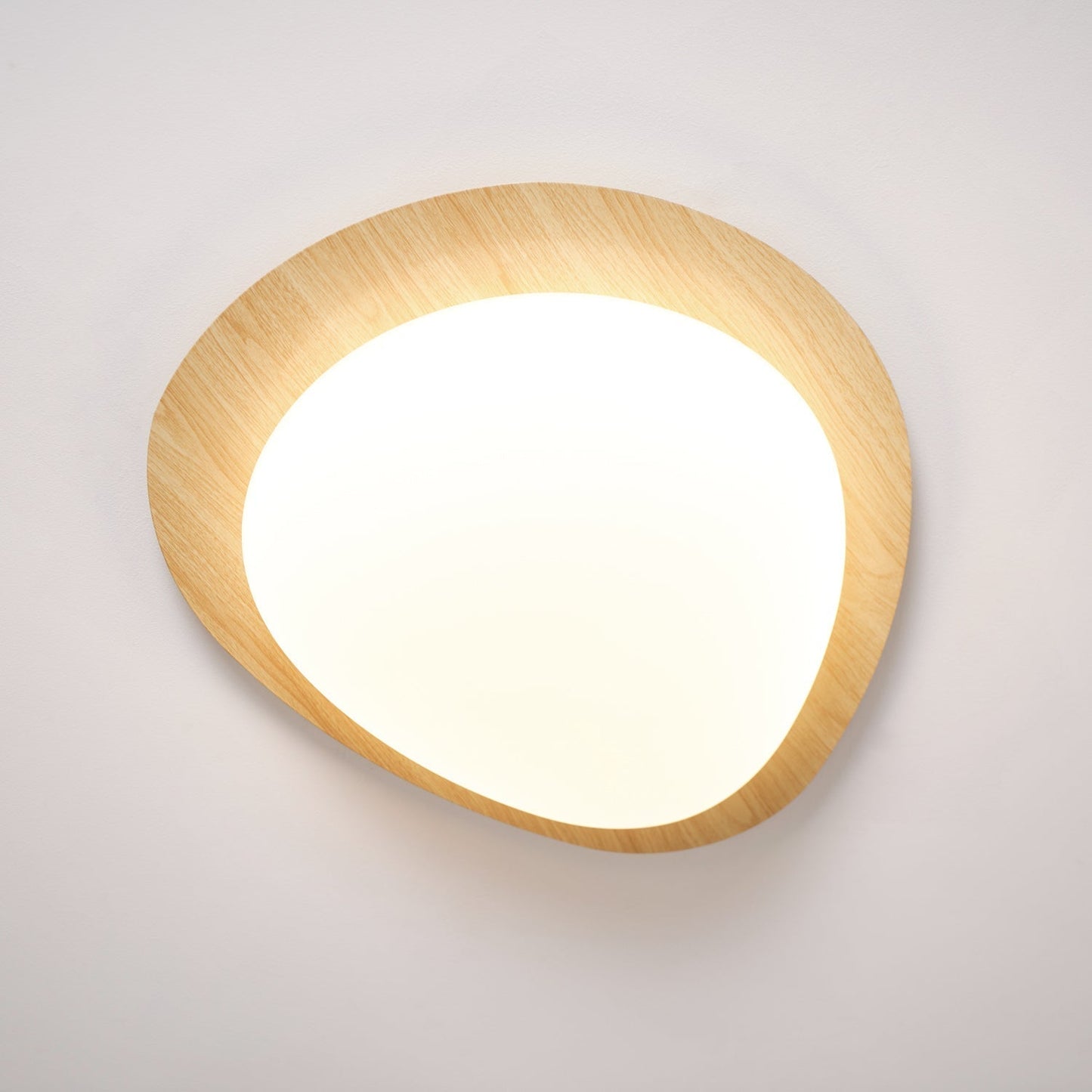 Elenorris | Sculpturale Kiezel Silhouet Opbouw Plafondlamp