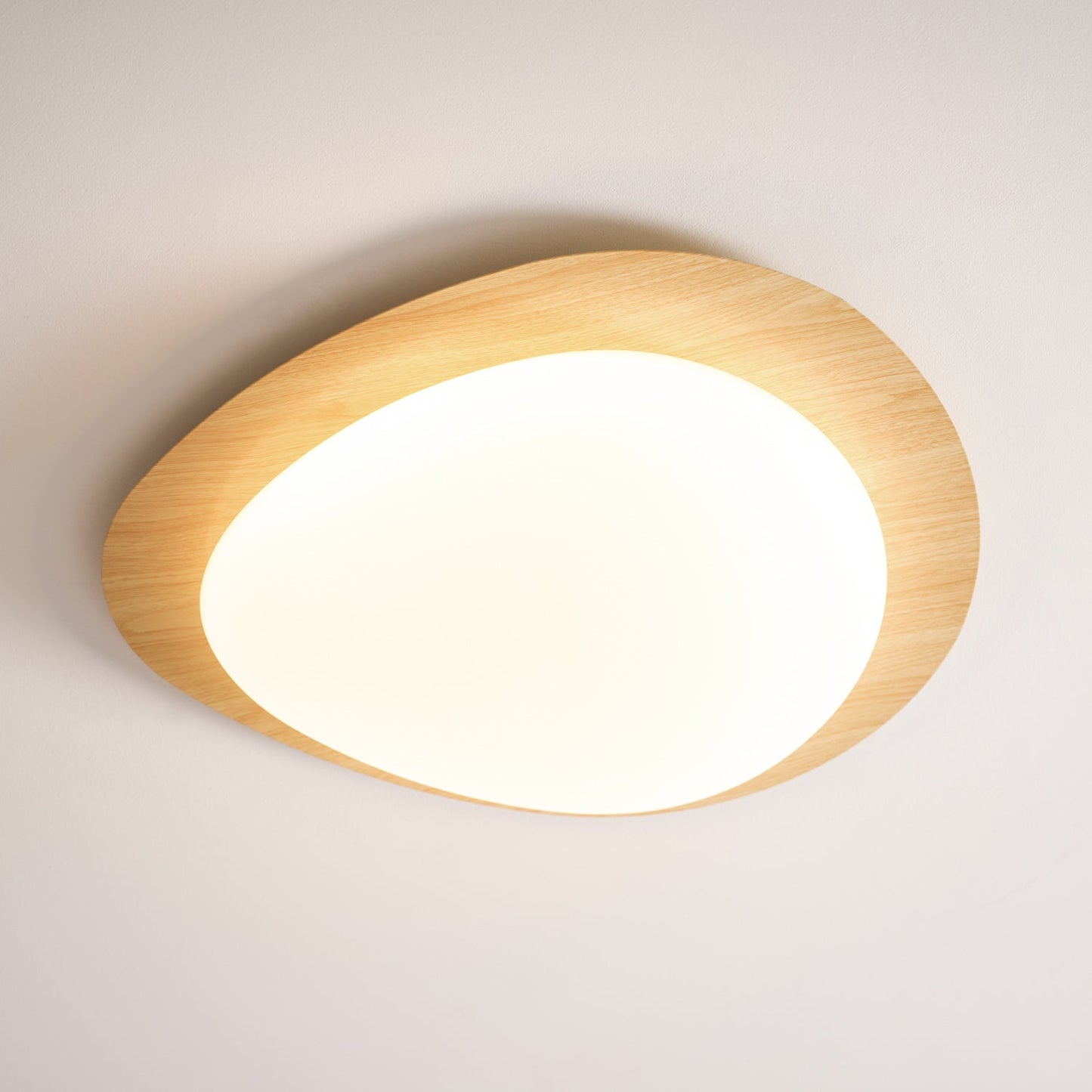 Elenorris | Sculpturale Kiezel Silhouet Opbouw Plafondlamp