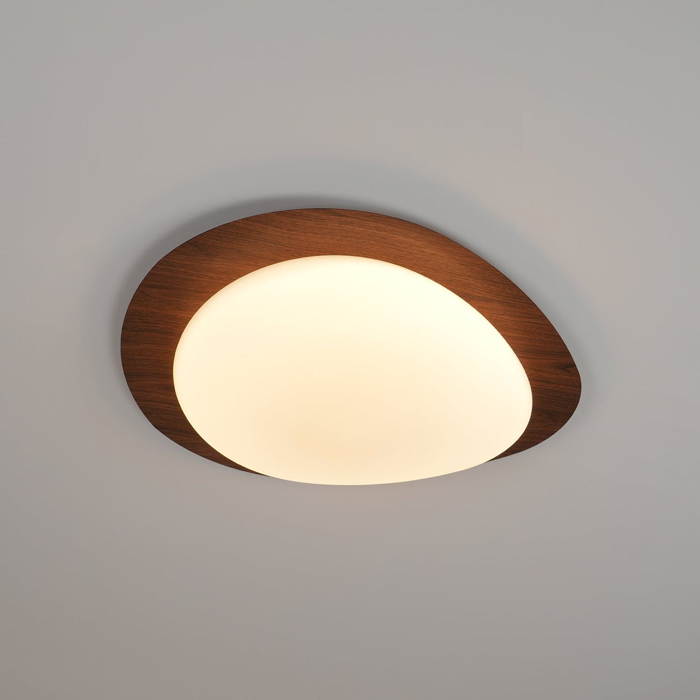 Elenorris | Sculpturale Kiezel Silhouet Opbouw Plafondlamp