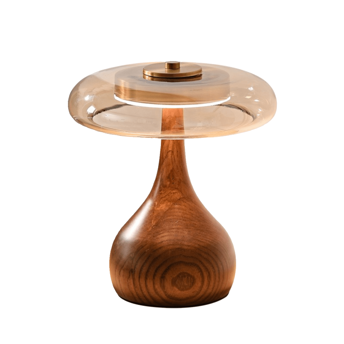 Vancorim | Japandi Gebogen Hout Amber Glas Tafellamp