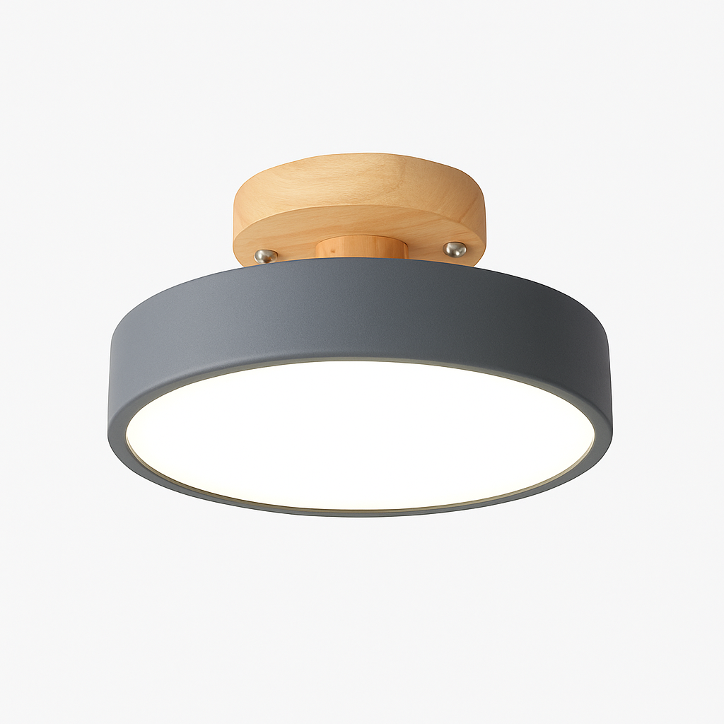 Kaelitho | Moderne Geometrische Beschilderde Metalen Schijf Plafondlamp