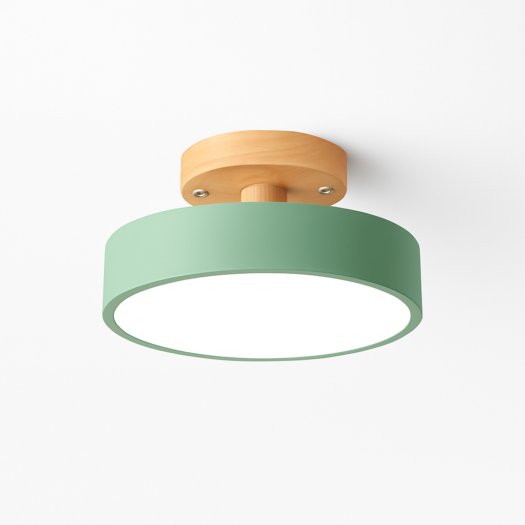 Kaelitho | Moderne Geometrische Beschilderde Metalen Schijf Plafondlamp