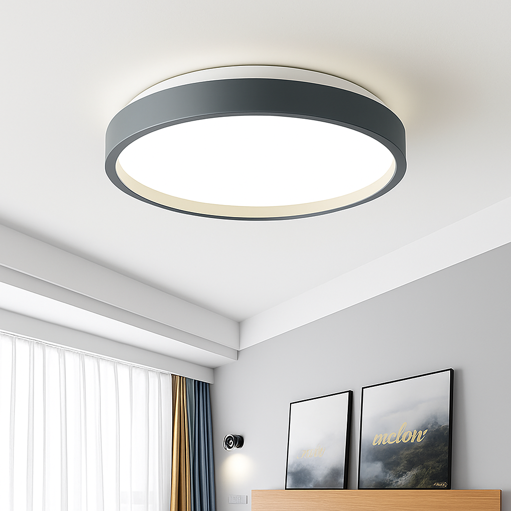 Zyldor | Slanke Cirkelvormige Moderne Metalen Opbouw Plafondlamp