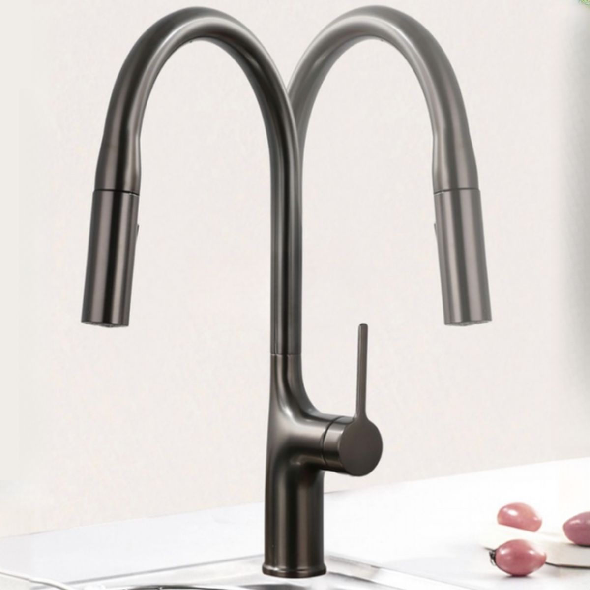 Eldurall | Moderne Gooseneck Silhouet Draaiuitloop Keukenkraan