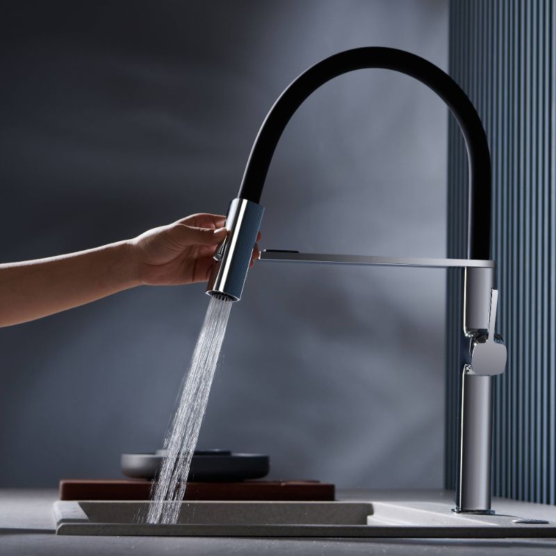 Eldvalla | Moderne Gooseneck Silhouet Draaiuitloop Keukenkraan