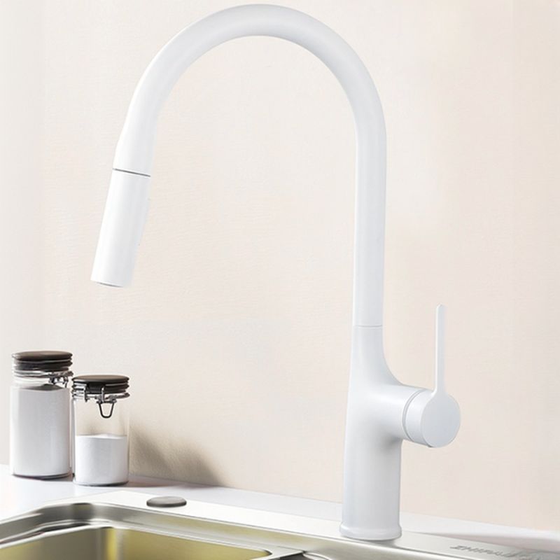 Eldurall | Moderne Gooseneck Silhouet Draaiuitloop Keukenkraan