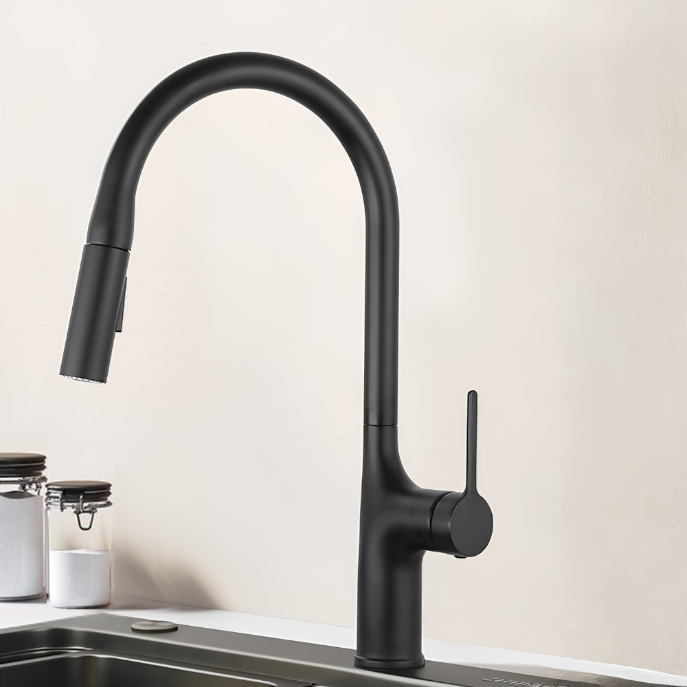 Eldurall | Moderne Gooseneck Silhouet Draaiuitloop Keukenkraan