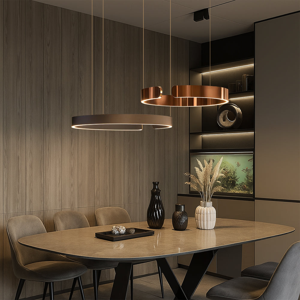 Cyclus | Hedendaagse Open Ring Metalen Hanglamp