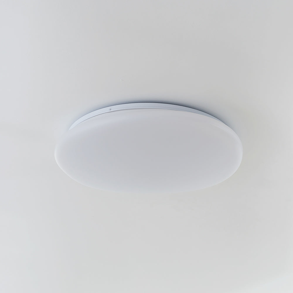 Aehelis | Moderne Minimalistische Onregelmatige Kiezel Silhouet LED Plafondlamp