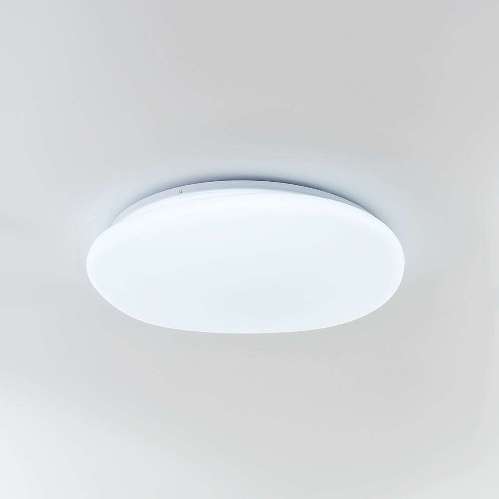 Aehelis | Moderne Minimalistische Onregelmatige Kiezel Silhouet LED Plafondlamp