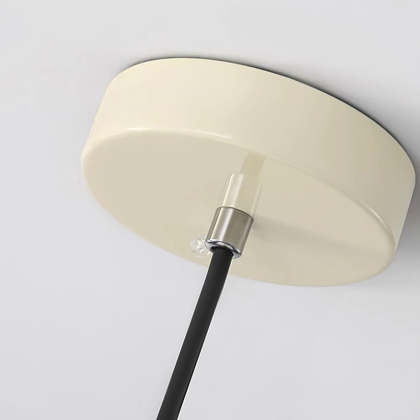 Berislys | Gesculpteerde Organische Bloem Silhouet Glazen Hanglamp