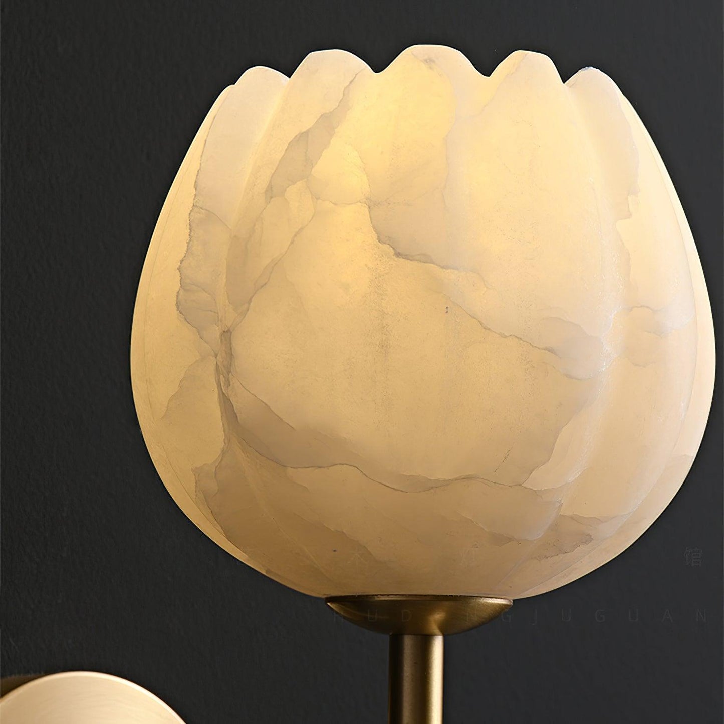 Lyhose | Botanische Alabaster Steen Bloem Sculptuur Wandlamp