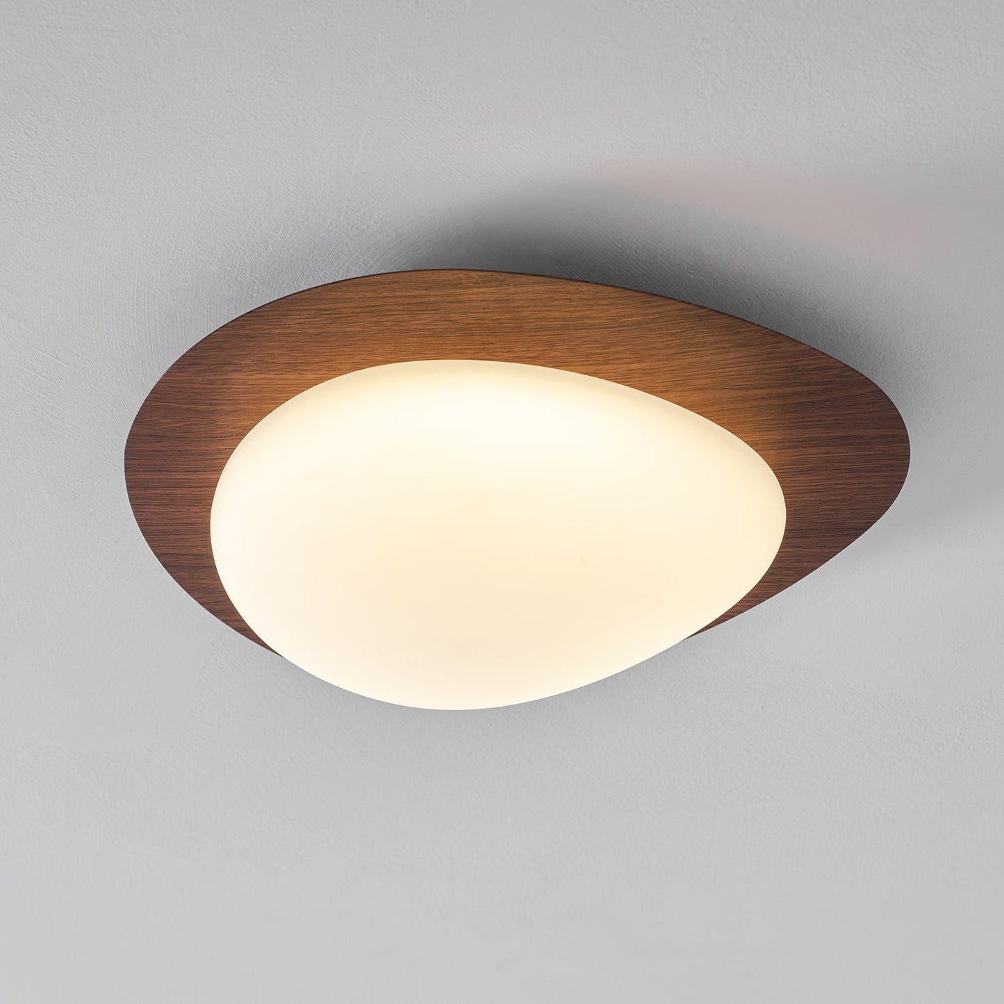 Elenorris | Sculpturale Kiezel Silhouet Opbouw Plafondlamp