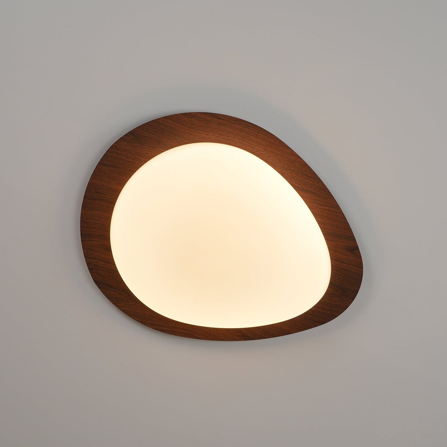 Elenorris | Sculpturale Kiezel Silhouet Opbouw Plafondlamp