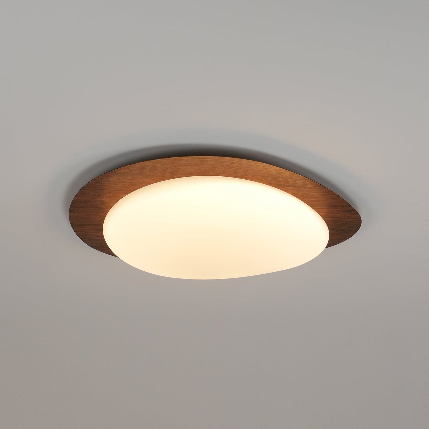 Elenorris | Sculpturale Kiezel Silhouet Opbouw Plafondlamp
