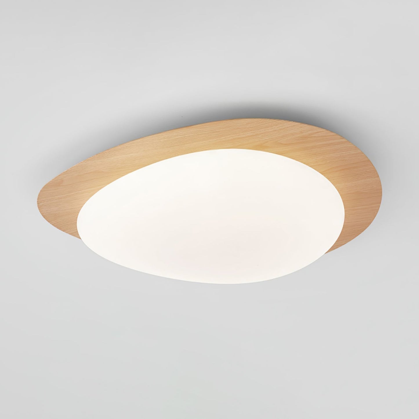 Elenorris | Sculpturale Kiezel Silhouet Opbouw Plafondlamp