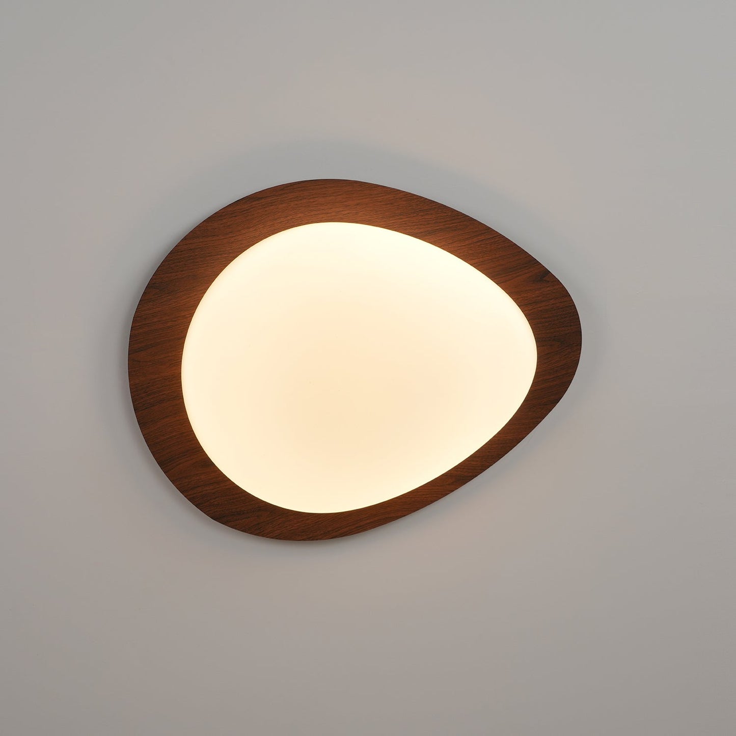 Elenorris | Sculpturale Kiezel Silhouet Opbouw Plafondlamp