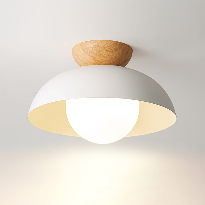 Lumiya | Moderne Nordic Metalen Koepel Plafondlamp