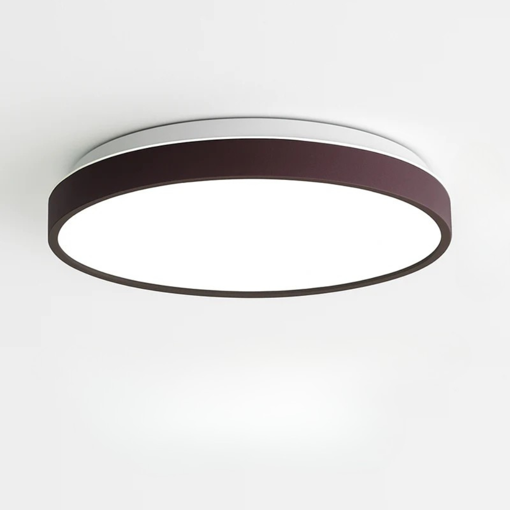 Zyldor | Slanke Cirkelvormige Moderne Metalen Opbouw Plafondlamp