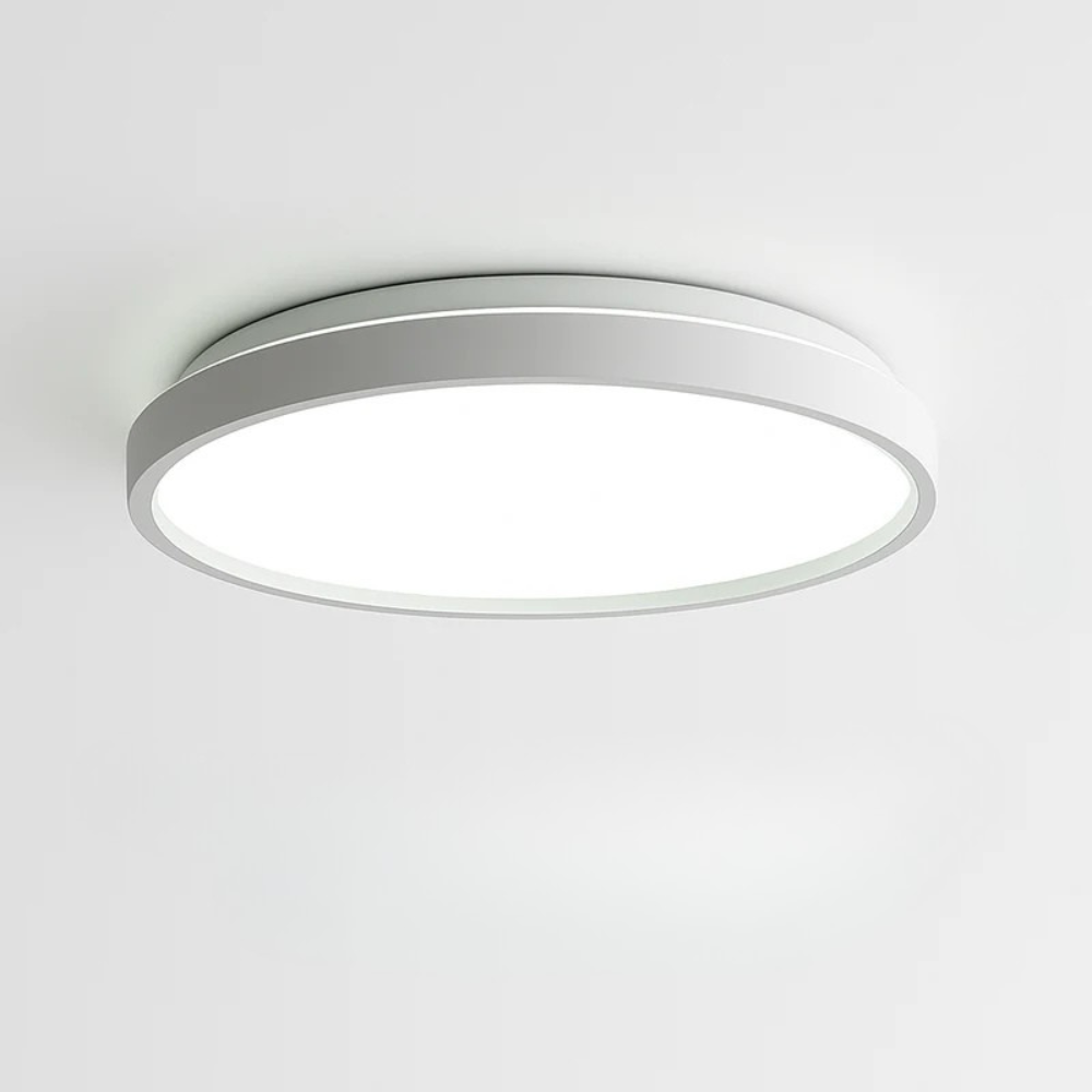 Zyldor | Slanke Cirkelvormige Moderne Metalen Opbouw Plafondlamp