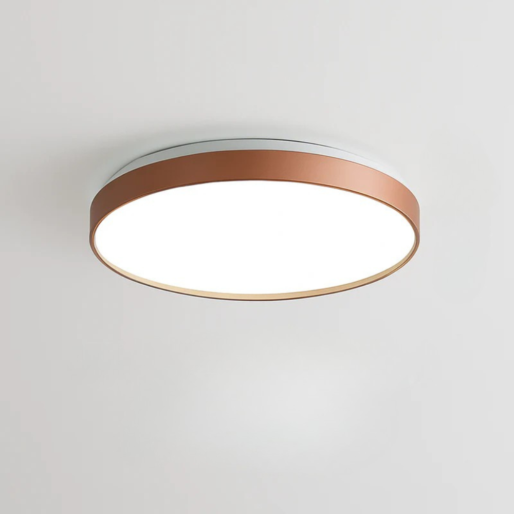 Zyldor | Slanke Cirkelvormige Moderne Metalen Opbouw Plafondlamp
