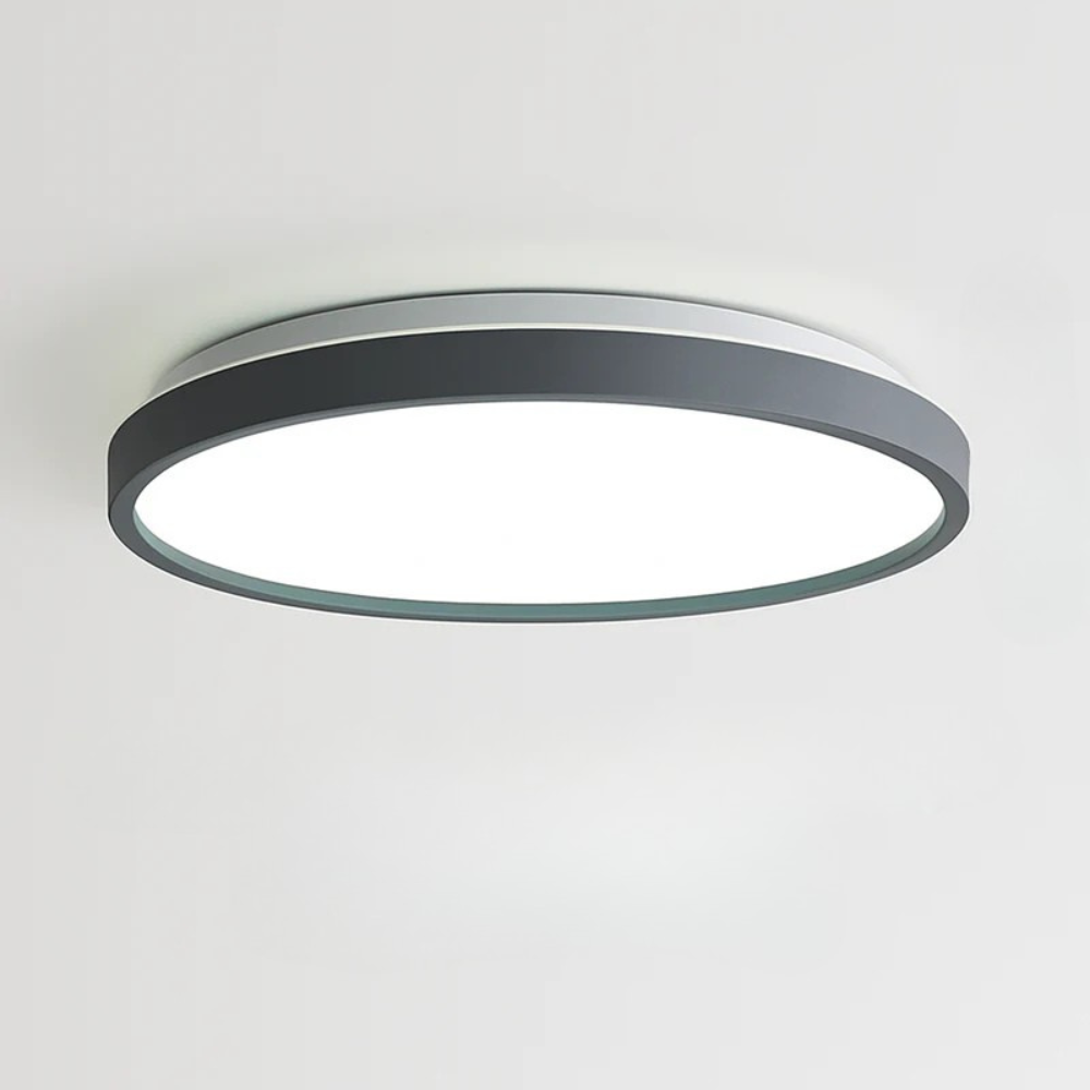 Zyldor | Slanke Cirkelvormige Moderne Metalen Opbouw Plafondlamp