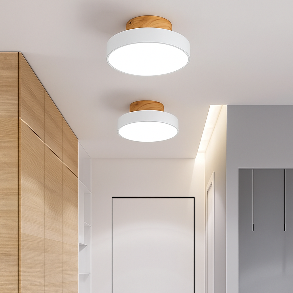 Kaelitho | Moderne Geometrische Beschilderde Metalen Schijf Plafondlamp