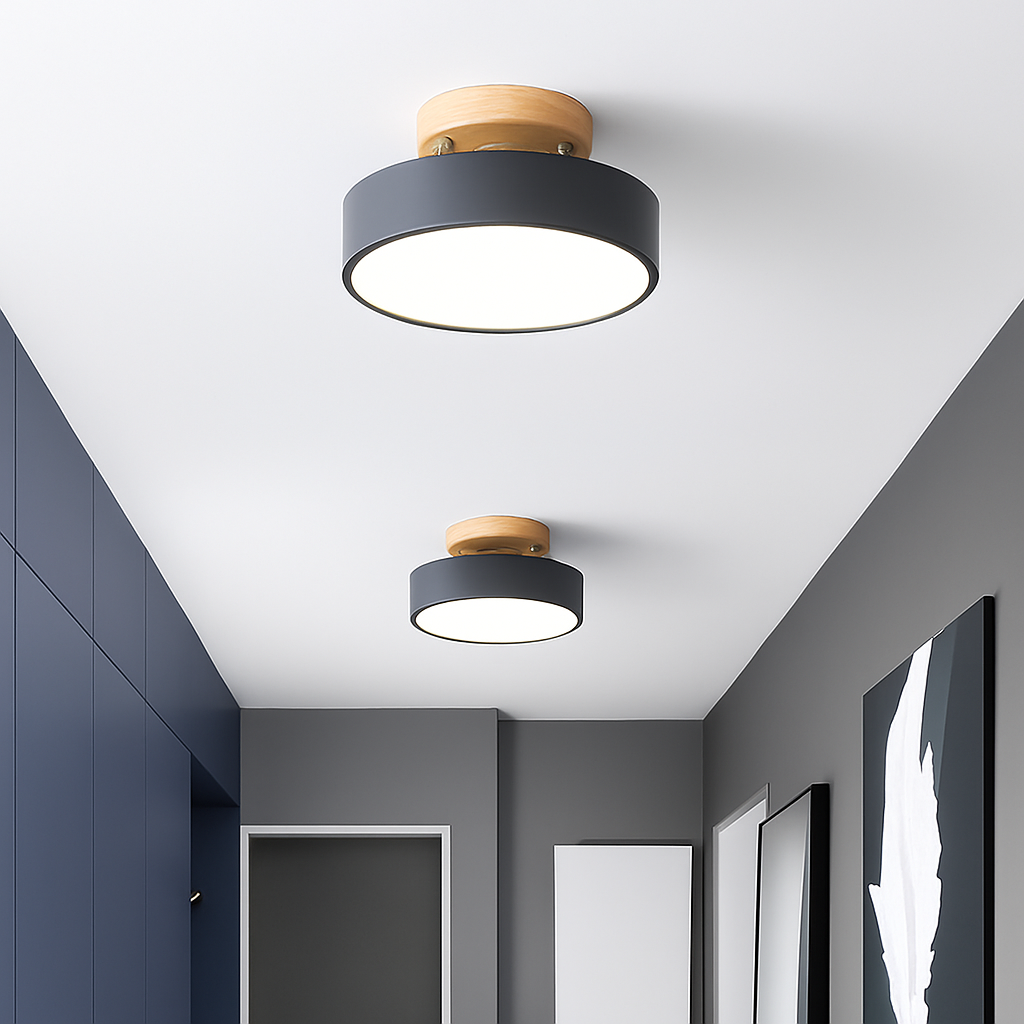 Kaelitho | Moderne Geometrische Beschilderde Metalen Schijf Plafondlamp