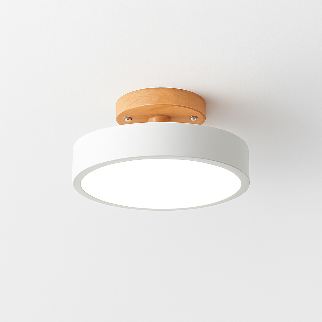 Kaelitho | Moderne Geometrische Beschilderde Metalen Schijf Plafondlamp