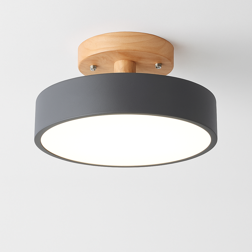 Kaelitho | Moderne Geometrische Beschilderde Metalen Schijf Plafondlamp