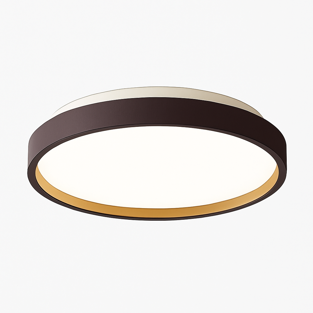 Zyldor | Slanke Cirkelvormige Moderne Metalen Opbouw Plafondlamp